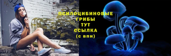 мяу мяу кристалл Алексин