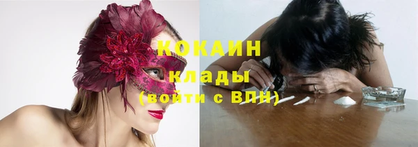 СК Алзамай