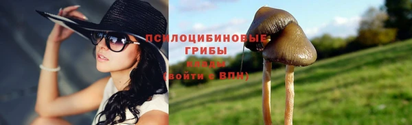 СК Алзамай