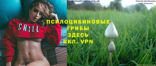 СК Алзамай