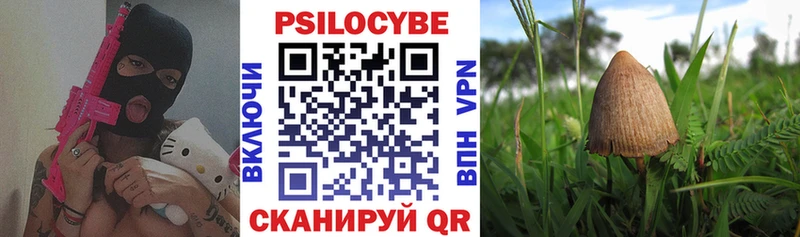 ОМГ ОМГ зеркало  Гаджиево  Галлюциногенные грибы Magic Shrooms 